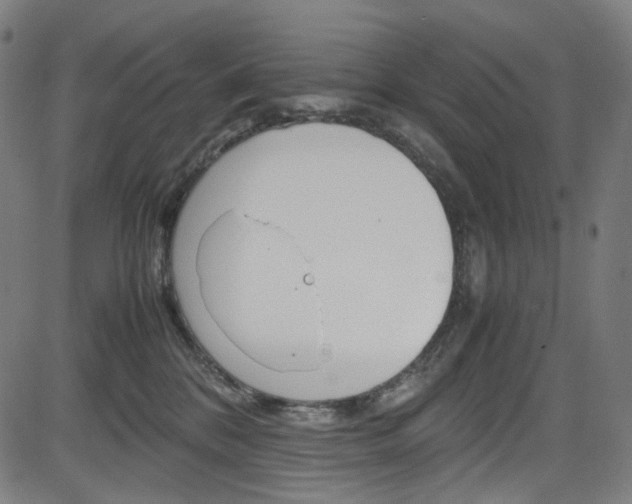 X0000085250328200703090954