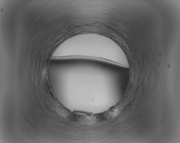 X0000085250329200703090954