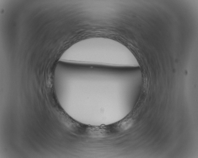 X0000085250331200703090954