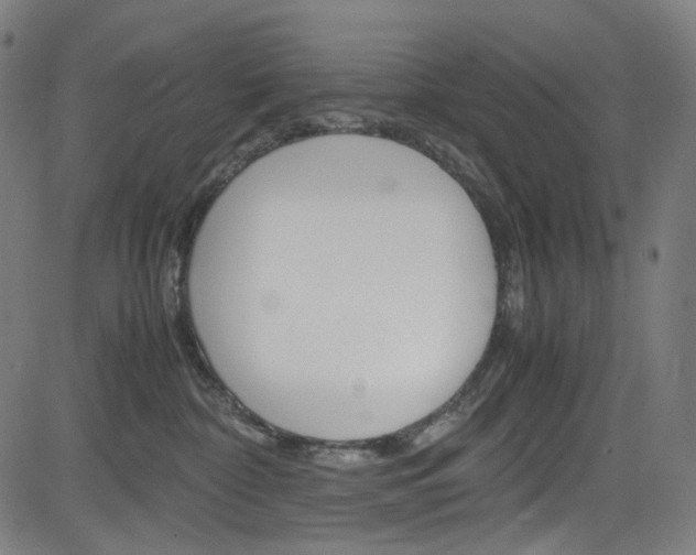 X0000085250332200703090954