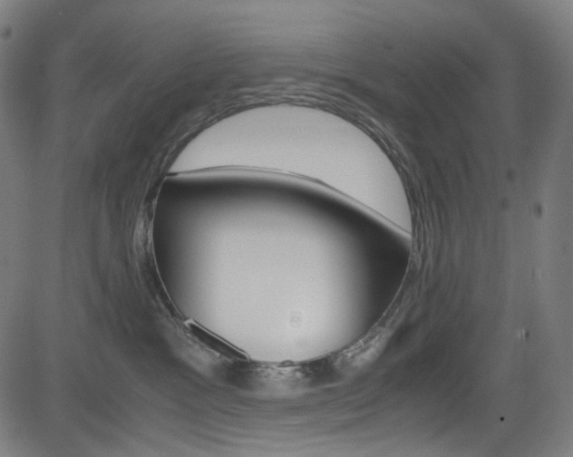 X0000085250333200703090954