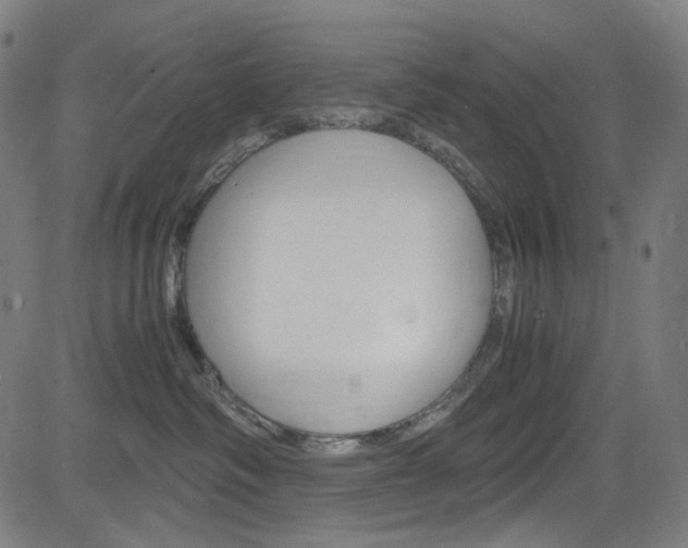 X0000085250334200703090954