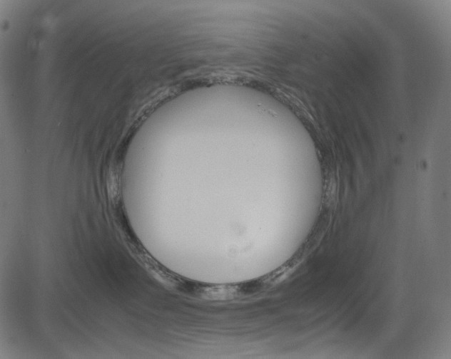 X0000085250335200703090954