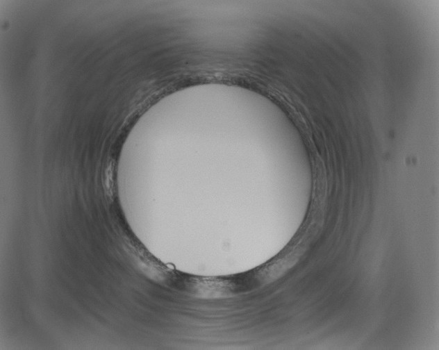 X0000085250336200703090954