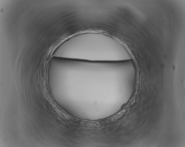 X0000085250337200703090953