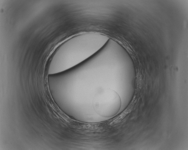 X0000085250338200703090953