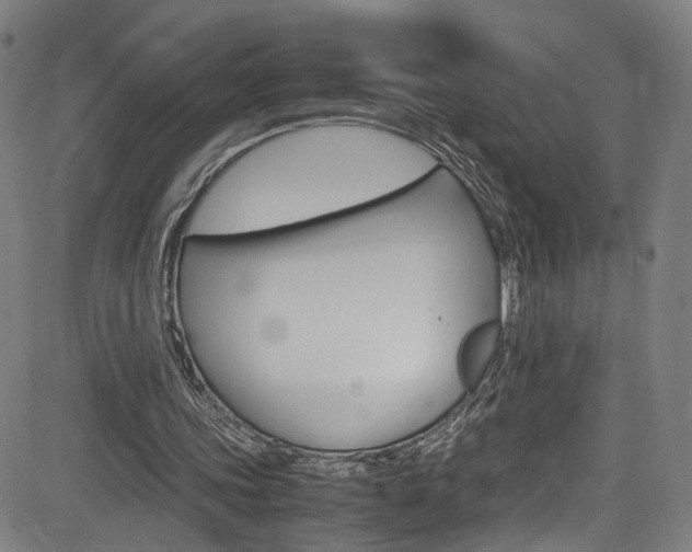 X0000085250339200703090953