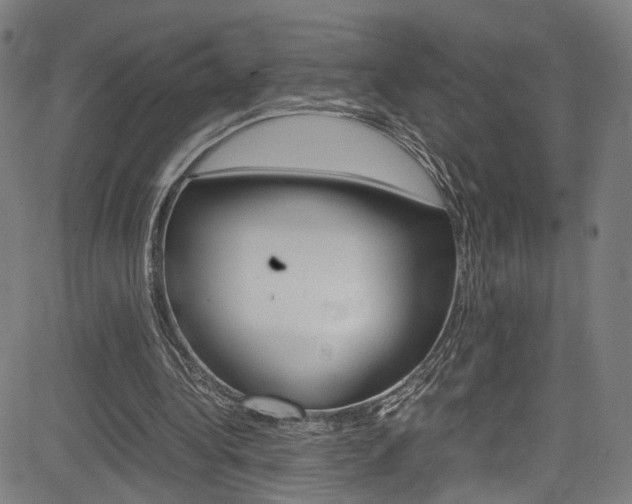 X0000085250340200703090953