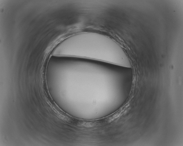 X0000085250341200703090953