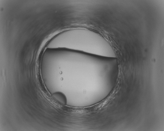 X0000085250342200703090953