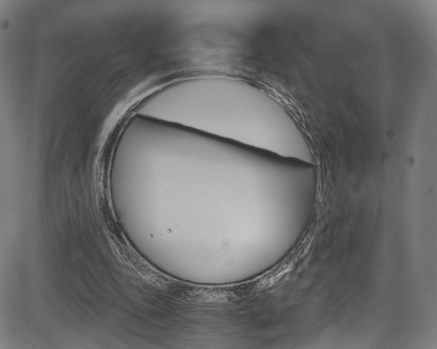 X0000085250343200703090953