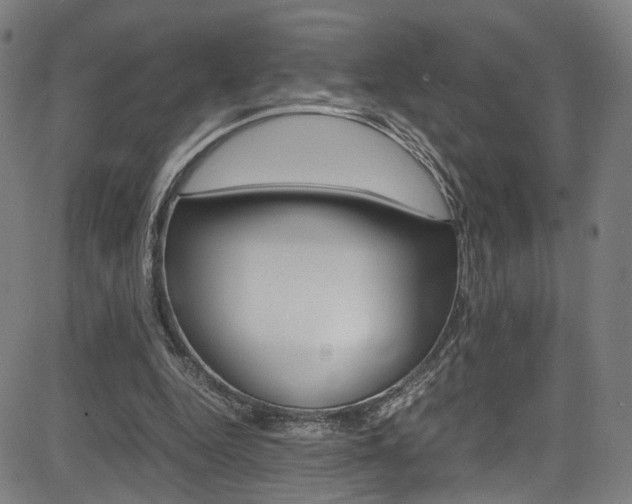 X0000085250344200703090953