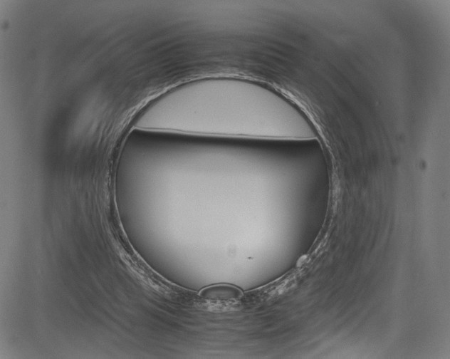 X0000085250345200703090953