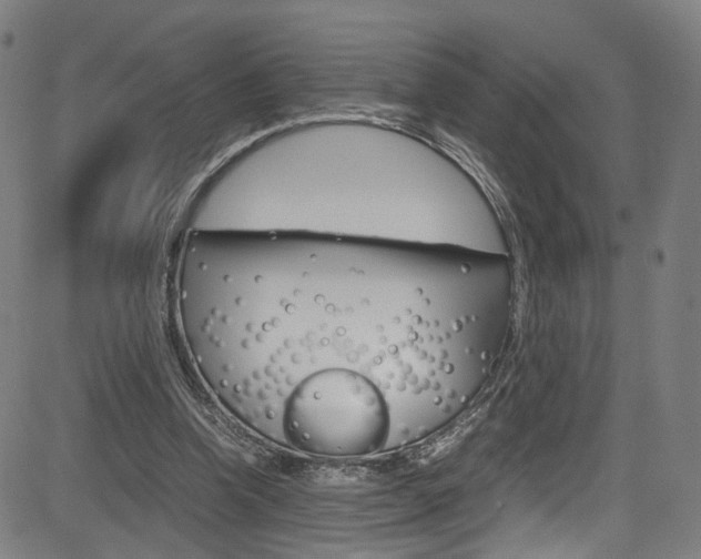 X0000085250346200703090953