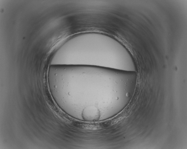 X0000085250347200703090953