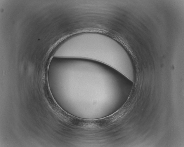 X0000085250348200703090953