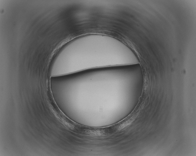 X0000085250349200703090953