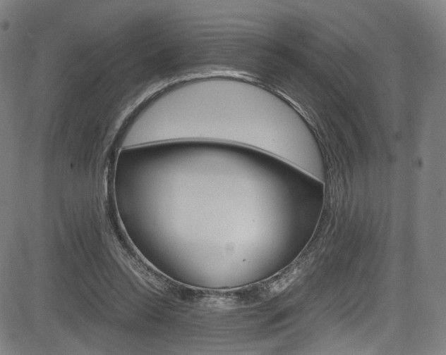 X0000085250350200703090953