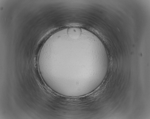 X0000085250351200703090953