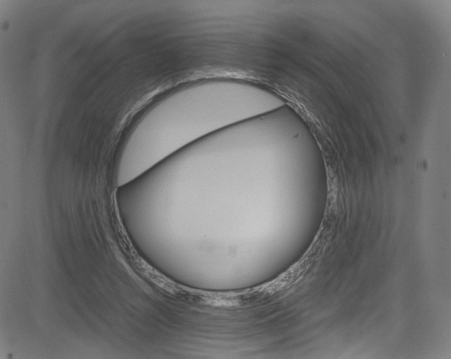 X0000085250352200703090953