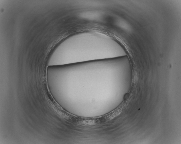 X0000085250353200703090953