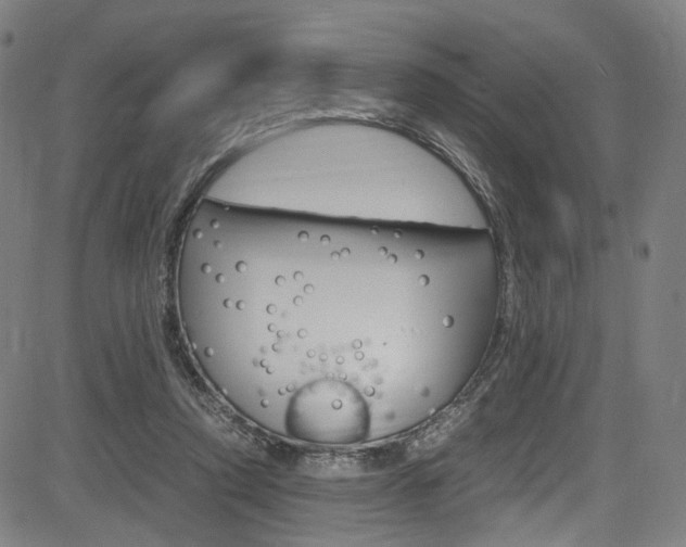 X0000085250354200703090953