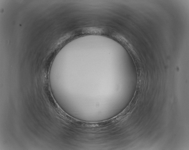 X0000085250355200703090953