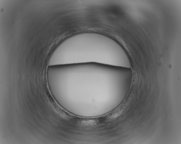 X0000085250357200703090953