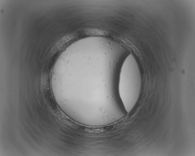 X0000085250359200703090953