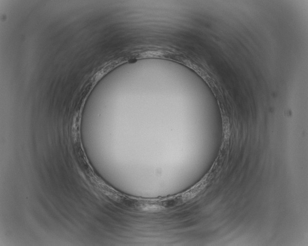 X0000085250360200703090953