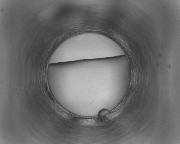 X0000085250361200703090953