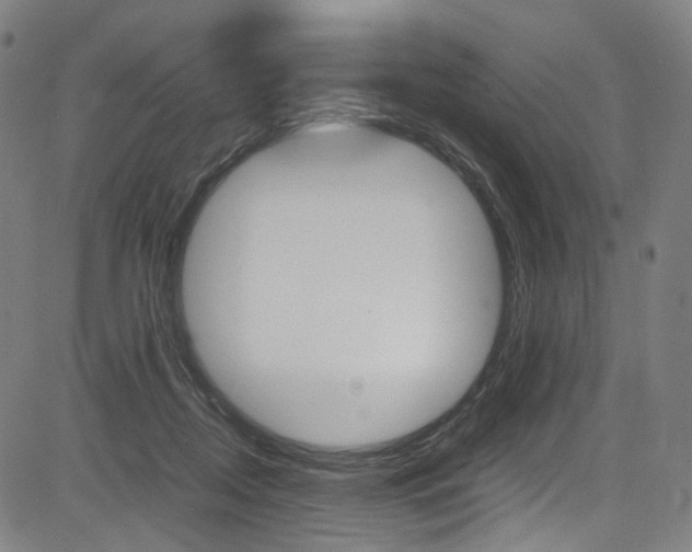 X0000085250362200703090953