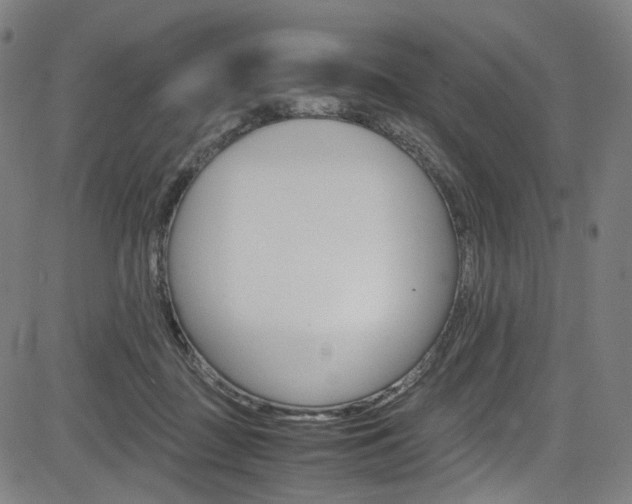 X0000085250363200703090953