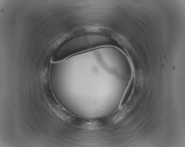 X0000085250364200703090953