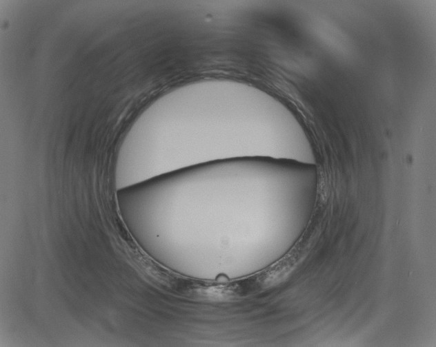 X0000085250365200703090953