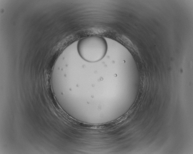 X0000085250366200703090953