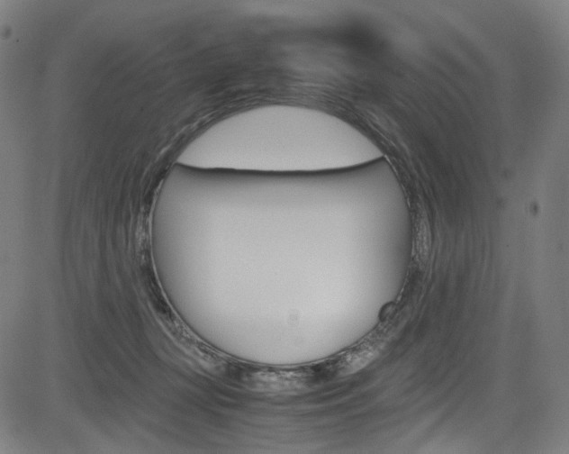 X0000085250367200703090953