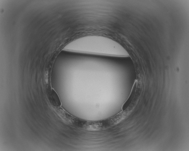 X0000085250368200703090953