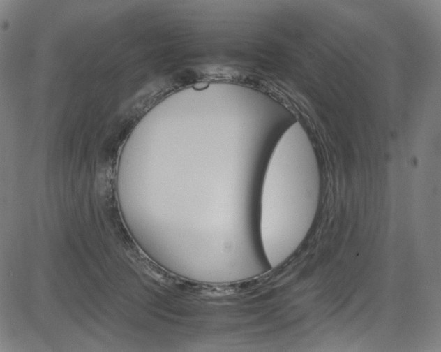 X0000085250369200703090953