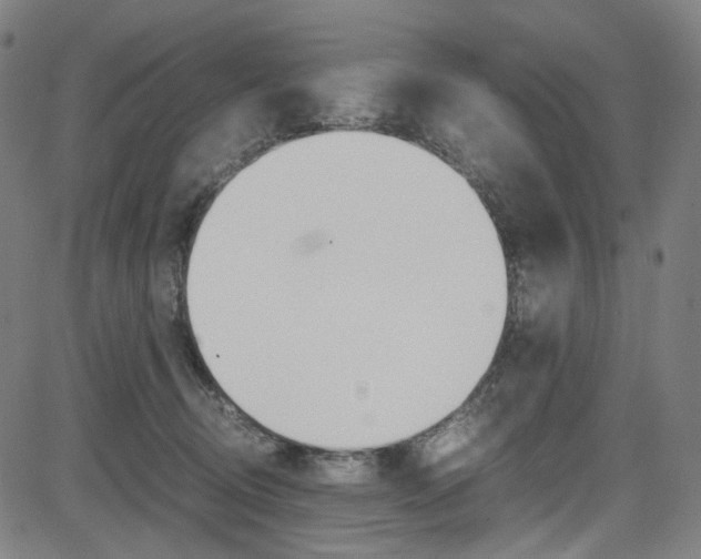 X0000085250370200703090953