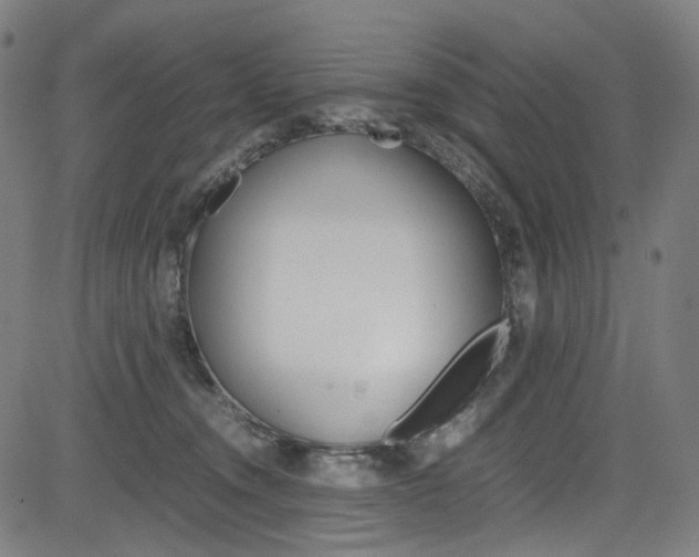 X0000085250372200703090954