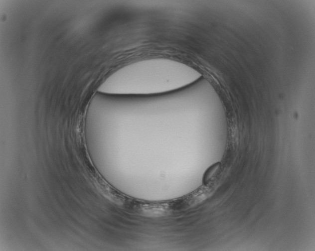 X0000085250373200703090954