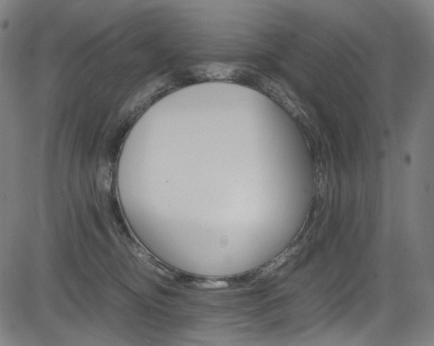 X0000085250374200703090954