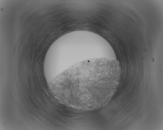 X0000085250375200703090954