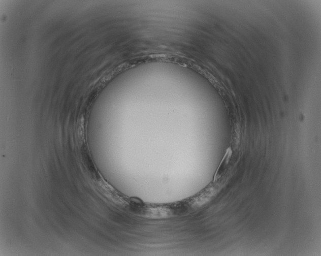 X0000085250376200703090954