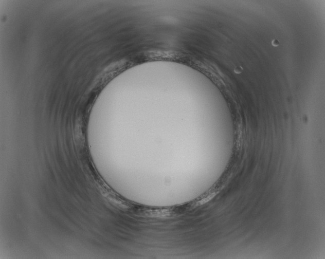 X0000085250377200703090954