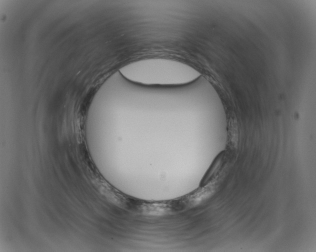 X0000085250378200703090954