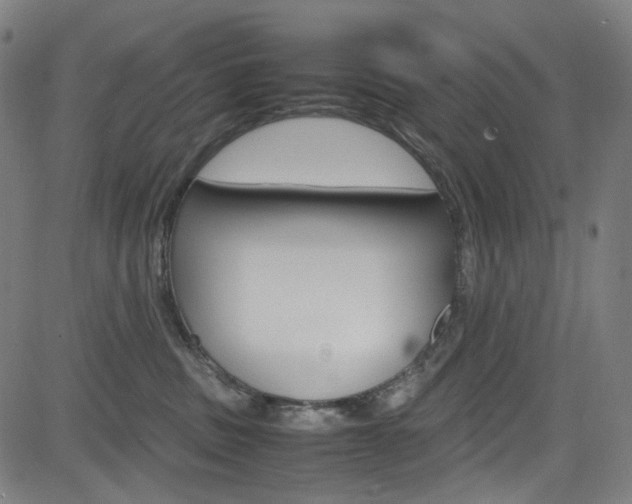 X0000085250379200703090954