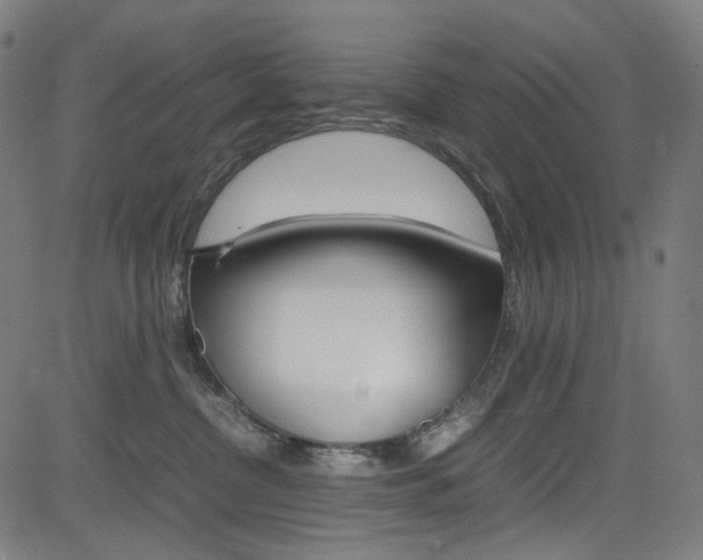 X0000085250380200703090954