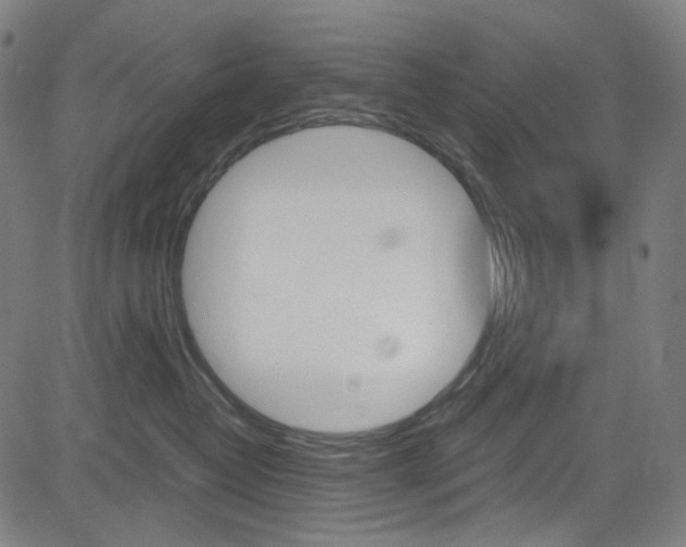 X0000085250382200703090954